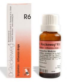 DR. RECKEWEG R6 22ml gocce