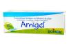 BOIRON - ARNIGEL GEL 45G