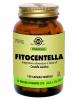 SOLGAR FITOCENTELLA