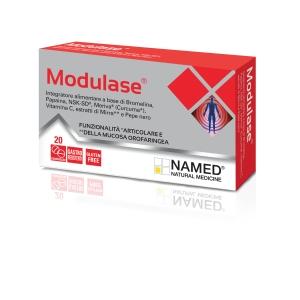 NAMED - MODULASE