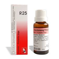 IMO - DR. RECKEWEG R25