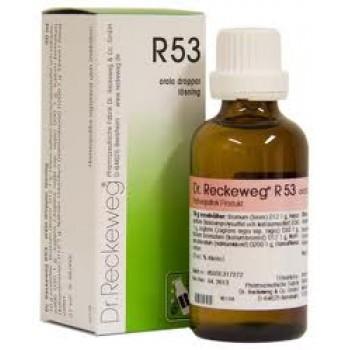 IMO - DR. RECKEWEG R53 gocce